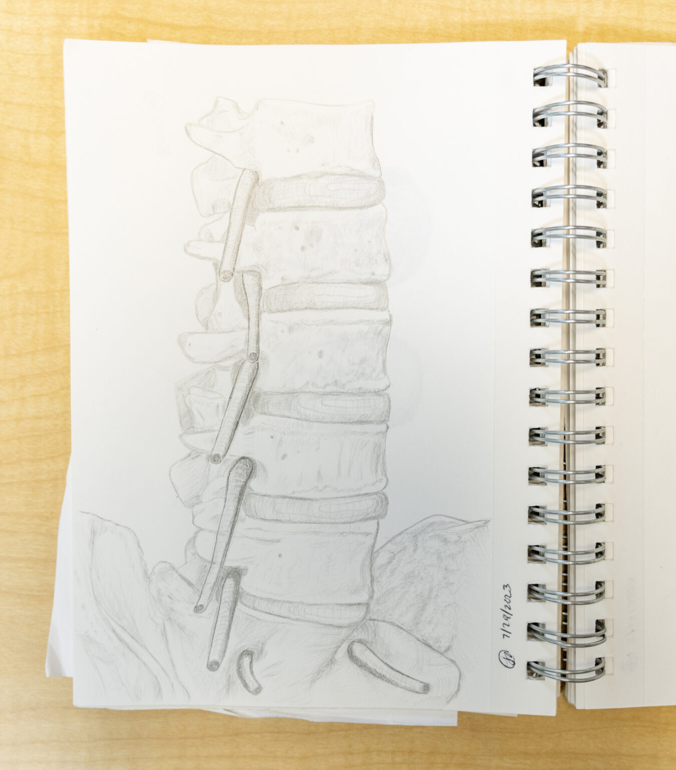 Acosta's drawing of the lumbar spine is seen in her sketchbook. (photo by Erin O. Smith)