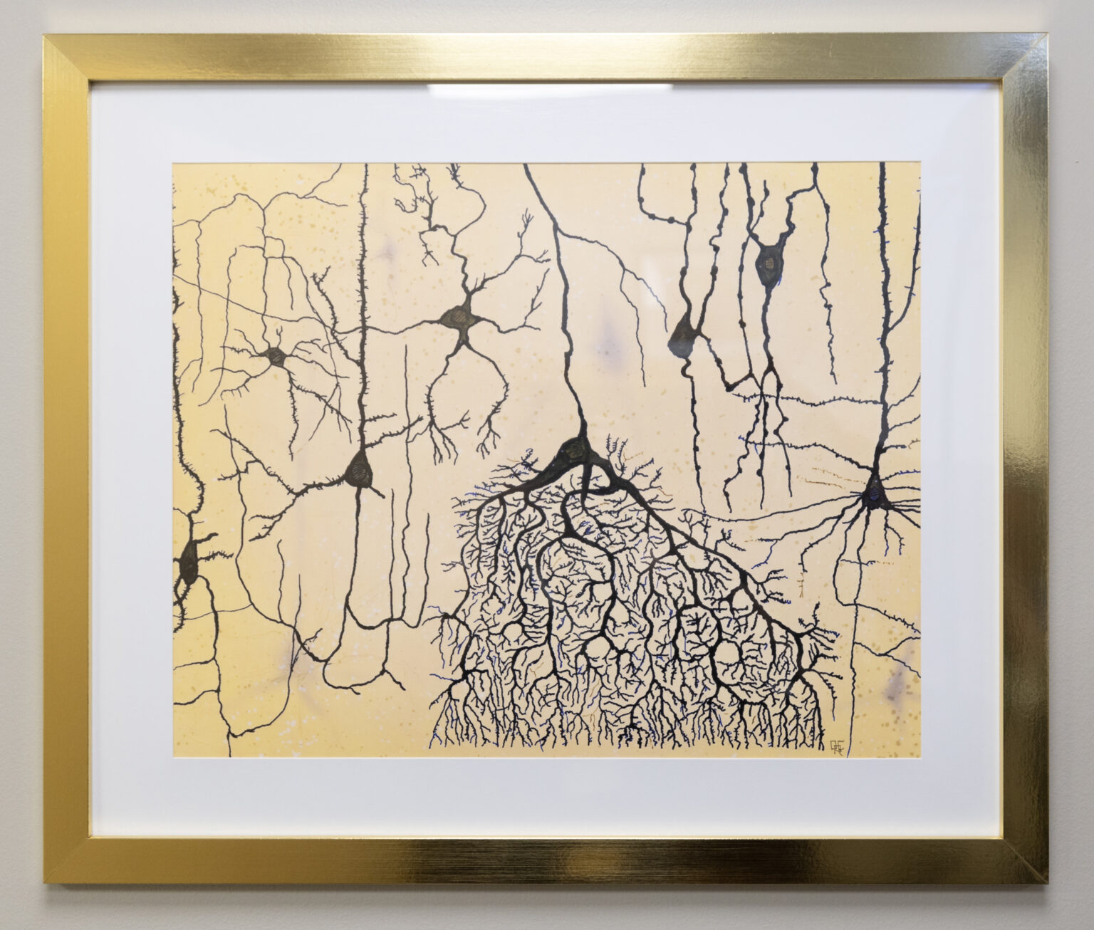 Inspired by the work of Ramon y Cajal, a Spanish neuroscientist known as the father of the field, Curfman created this homage that combines some of the most distinctive neuron types he detailed, including pyramidal cells, Purkinje cells and enteric neurons. The image was created with ink on paper and then edited with digital software to add color and mimic the aged paper of his original drawings. (photo by Erin O. Smith)