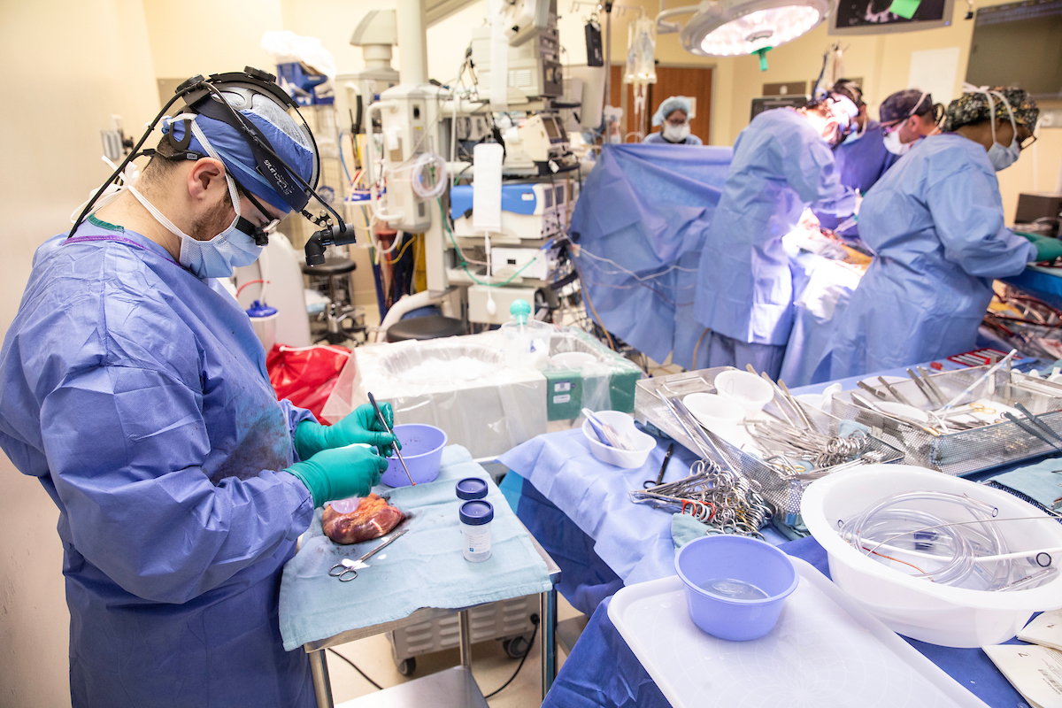 Brandon Petree, MD, takes cultures from a patient’s heart during the transplant. (photo by Erin O. Smith)