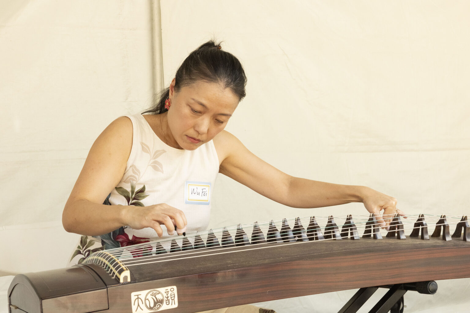 Musician Wu Fei strums a guzheng during a performance at the Music Cognition Lab’s open house. (photo by Susan Urmy)