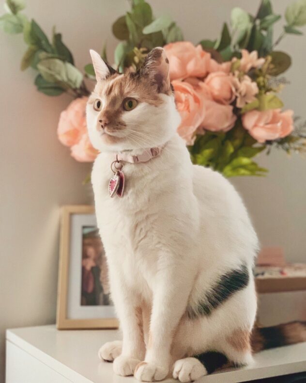 Gus