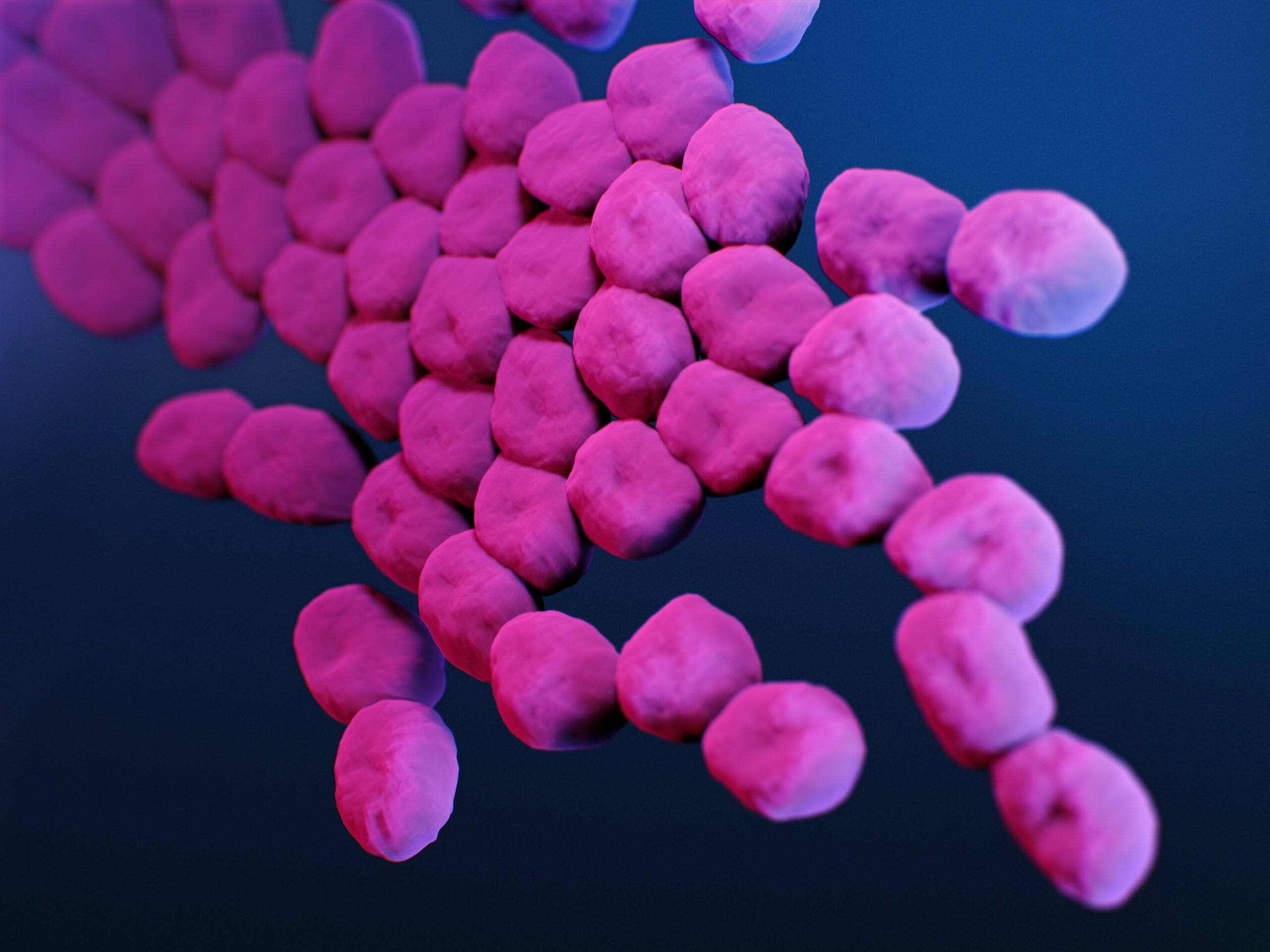 Gut microbiota impacts resistance to bacterial pneumonia: Study