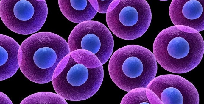Studying cells in reduced dimensions VUMC News Studying cells in reduced dimensions VUMC News
