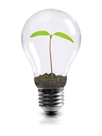 Creative Lightbulb