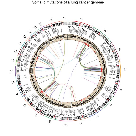 LungCancer.EML4-ALK.Fusion.2012
