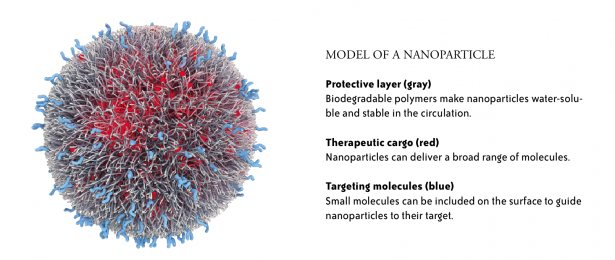 ACCURINS® nanoparticle image courtesy of BIND Therapeutics