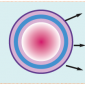 stem cell graphic stem cell graphic