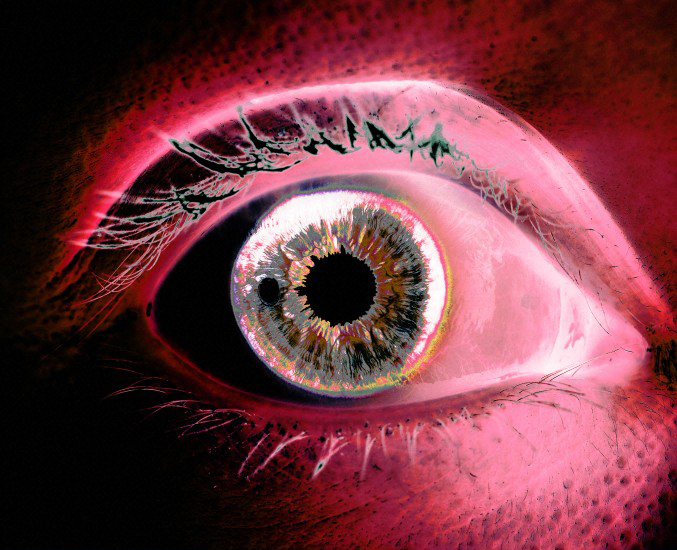 B0005628 Human eye