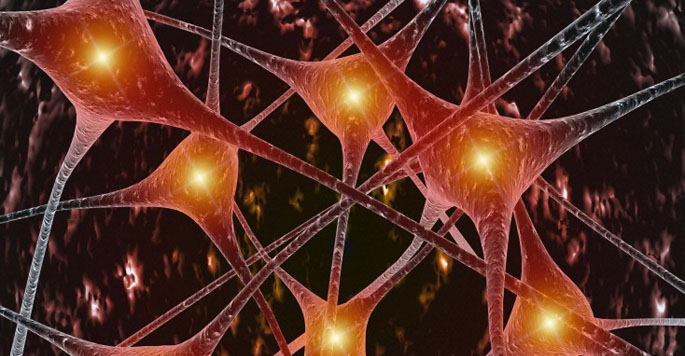 B0007108 Neural network